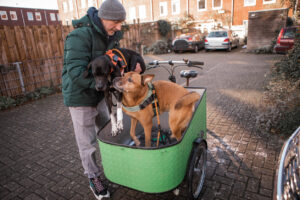 Man zet zijn honden in een bakfiets op op een pleintje